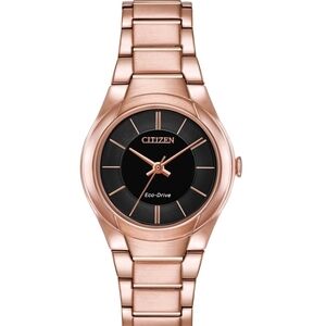 Citizen Echo watch rose gold